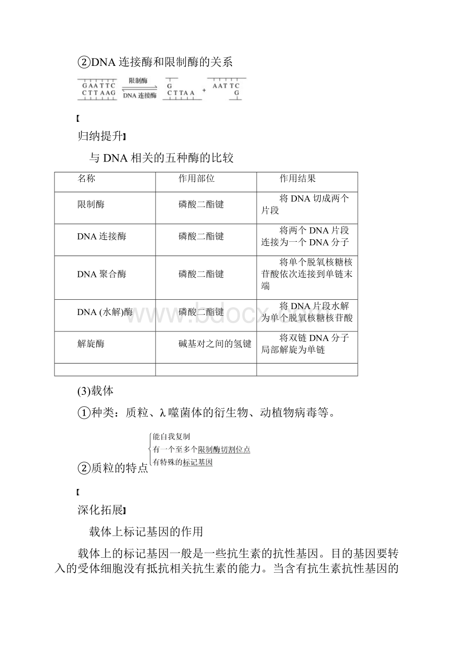 苏教版高考大一轮复习第十单元现代生物科技专题第35讲基因工程讲义生物.docx_第2页