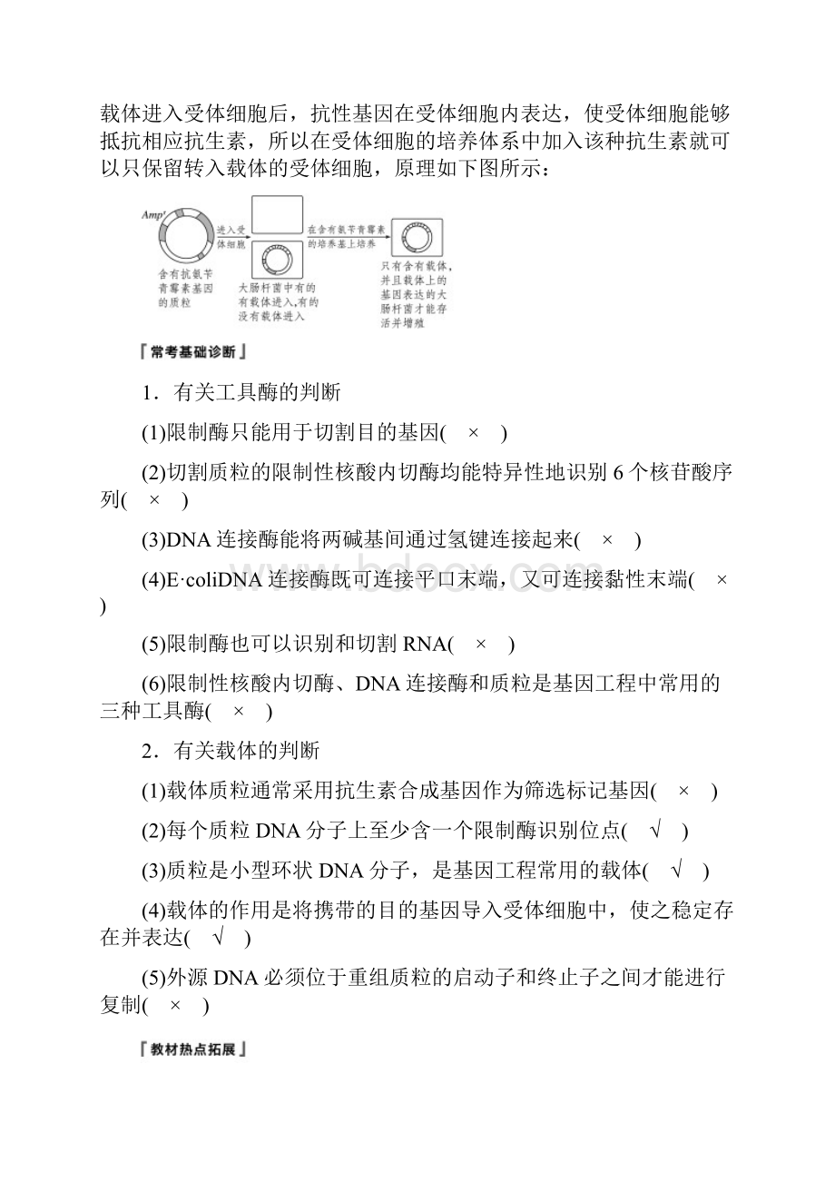 苏教版高考大一轮复习第十单元现代生物科技专题第35讲基因工程讲义生物.docx_第3页