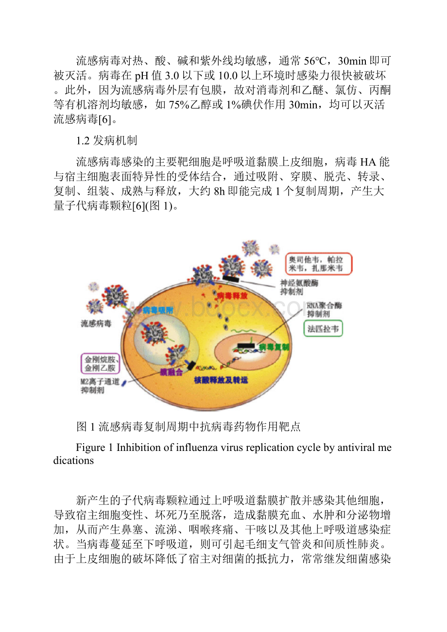 儿童流感诊断与治疗专家共识版.docx_第2页