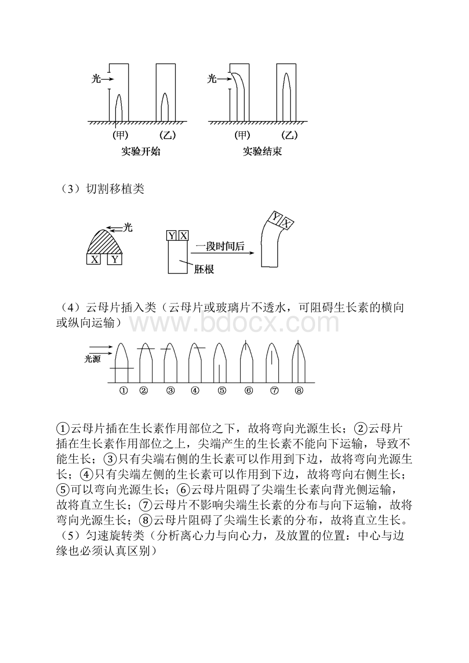 高考生物一轮复习 专题7 植物的激素调节教案 新人教版.docx_第3页