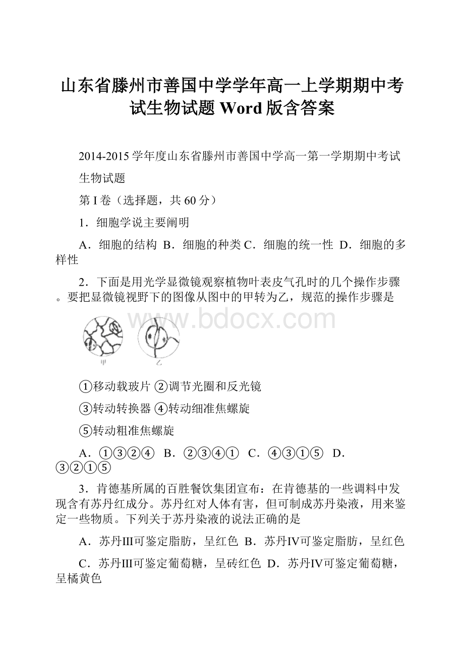 山东省滕州市善国中学学年高一上学期期中考试生物试题 Word版含答案.docx