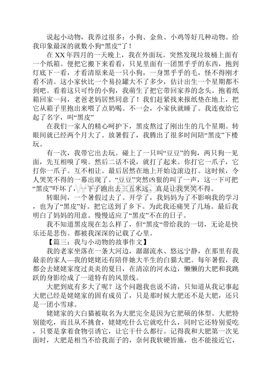 我与小动物的故事作文.docx_第2页