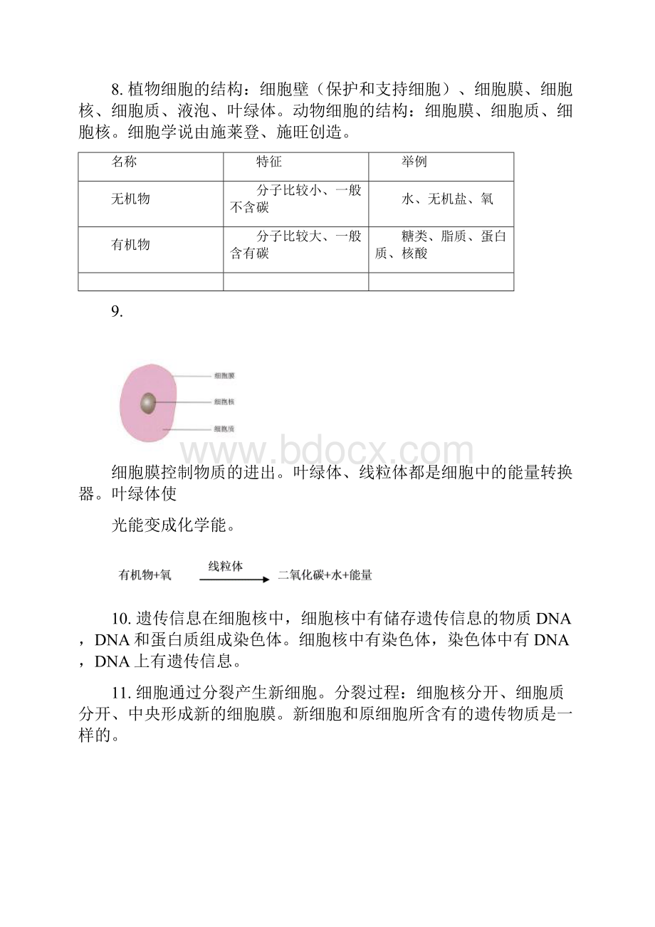 初中生物知识复习总结归纳人教版七八年级1.docx_第2页