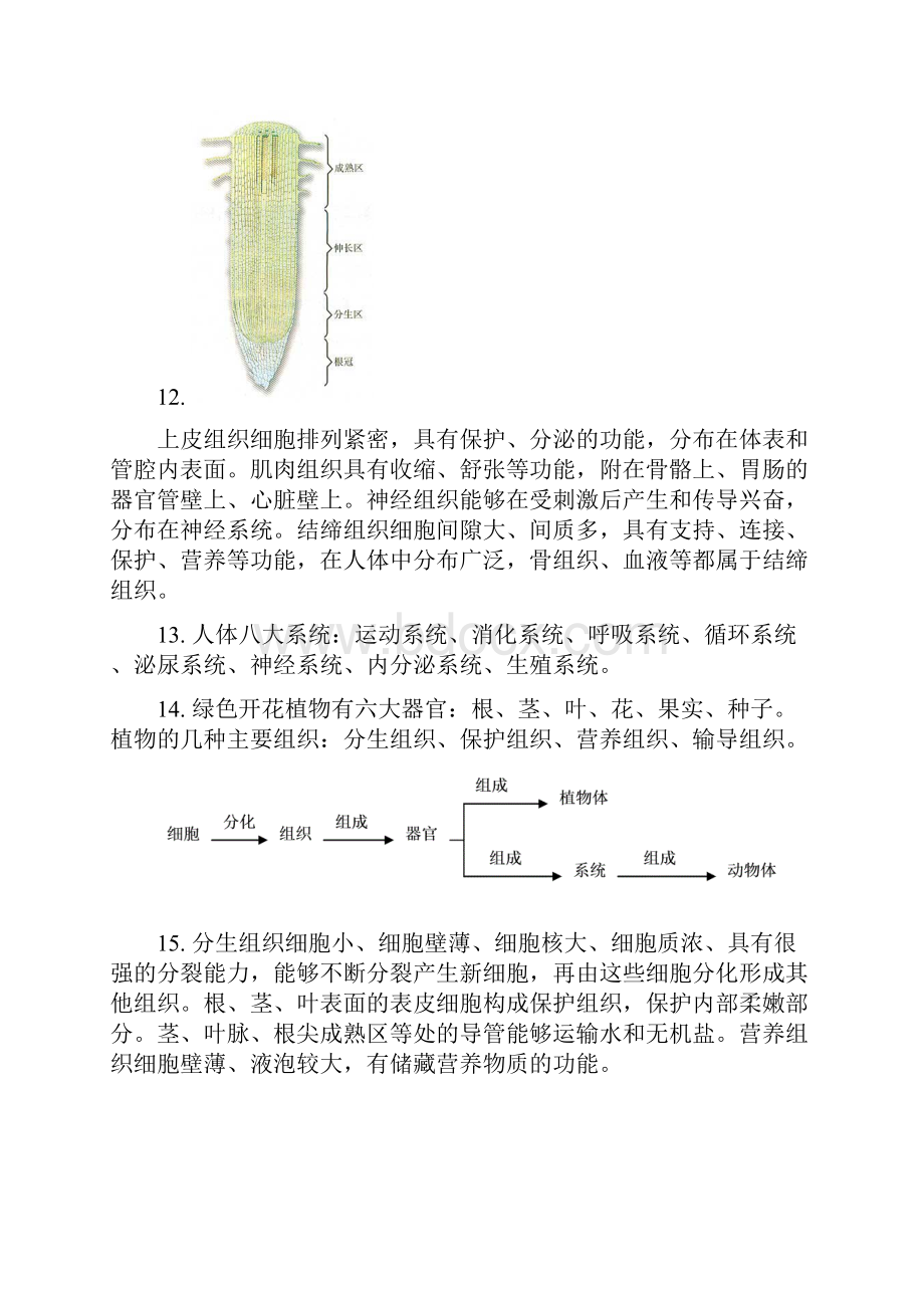 初中生物知识复习总结归纳人教版七八年级1.docx_第3页