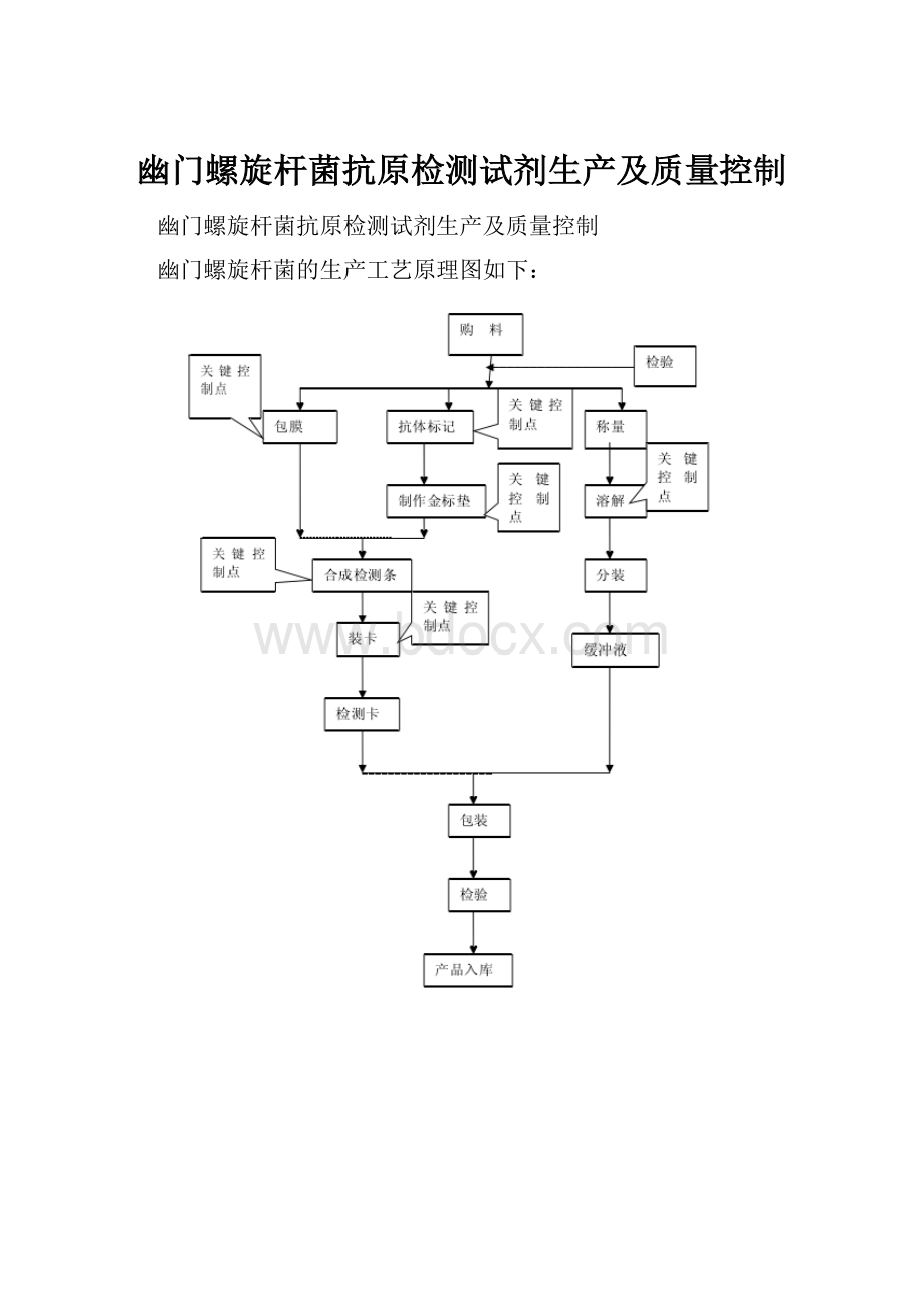 幽门螺旋杆菌抗原检测试剂生产及质量控制.docx_第1页