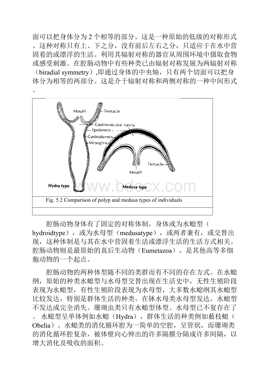 动物学教案6.docx_第3页