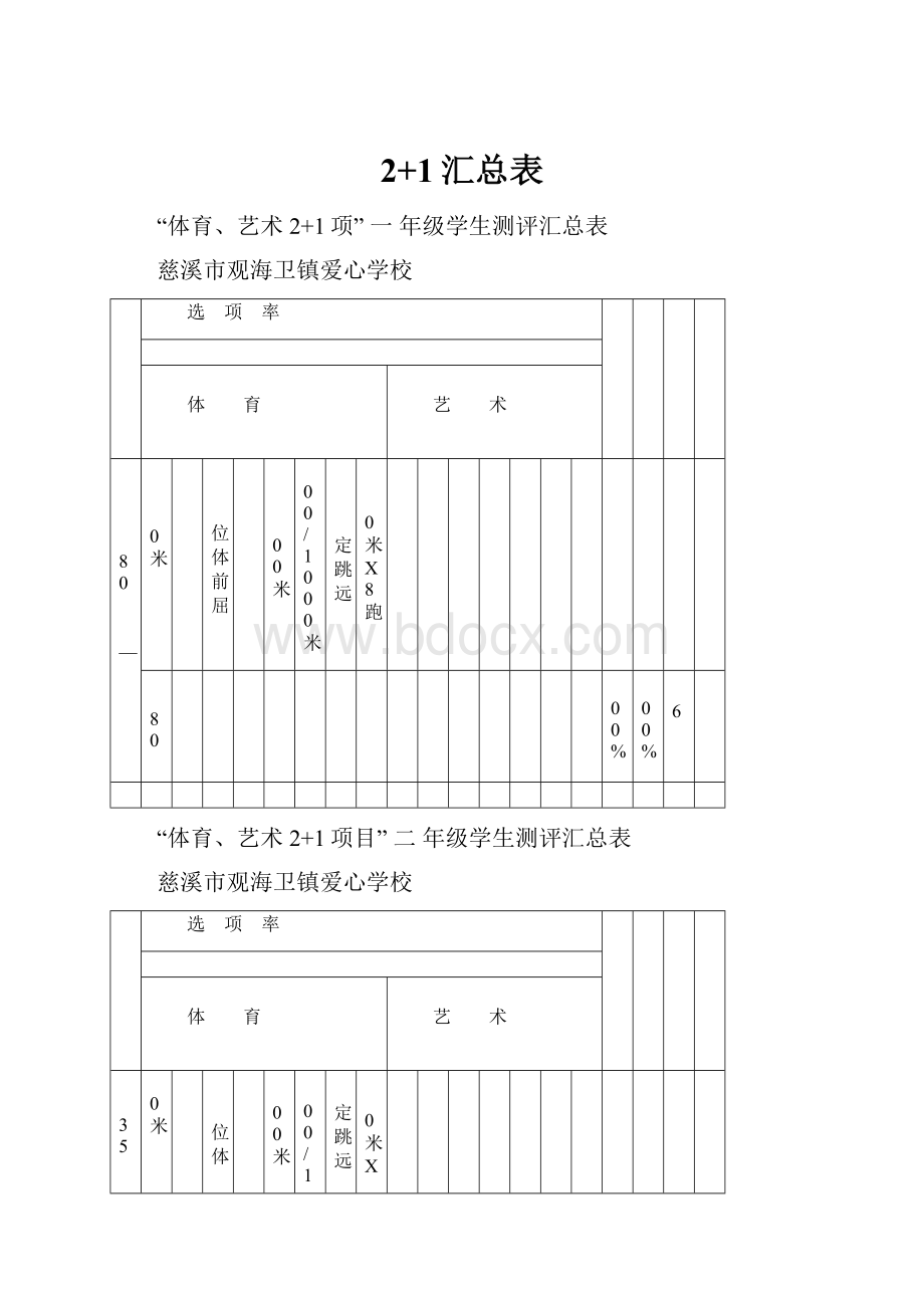 2+1汇总表.docx