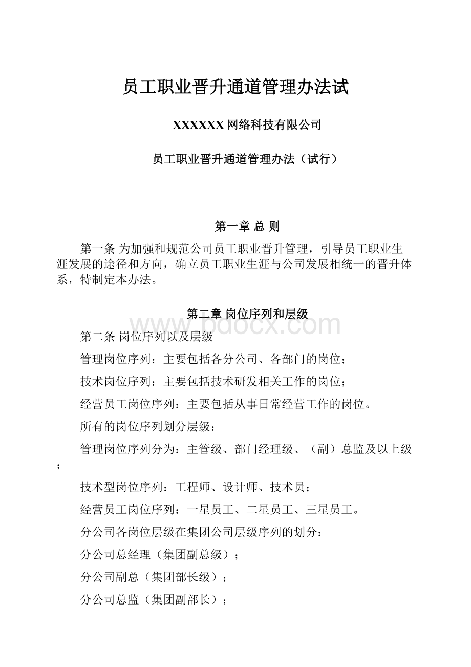 员工职业晋升通道管理办法试.docx