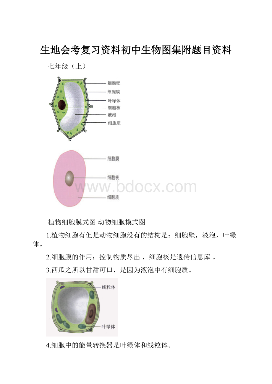 生地会考复习资料初中生物图集附题目资料.docx_第1页