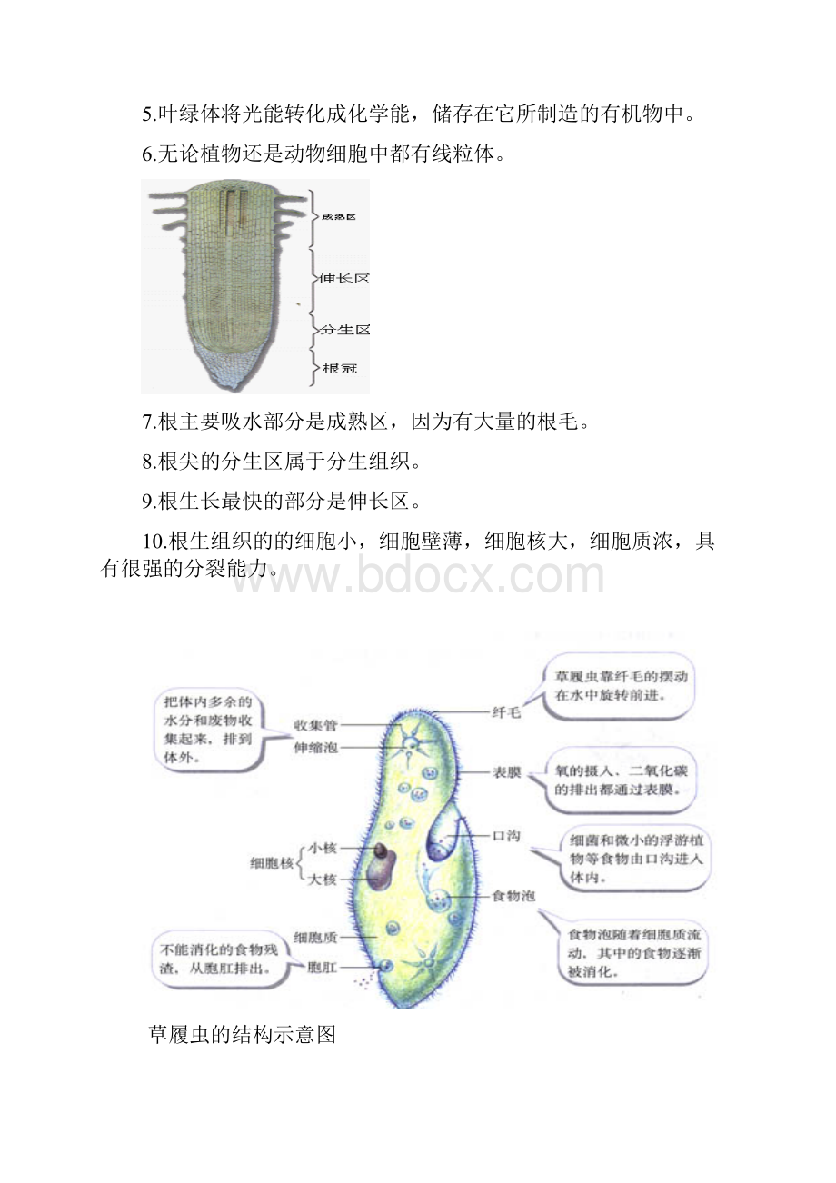 生地会考复习资料初中生物图集附题目资料.docx_第2页