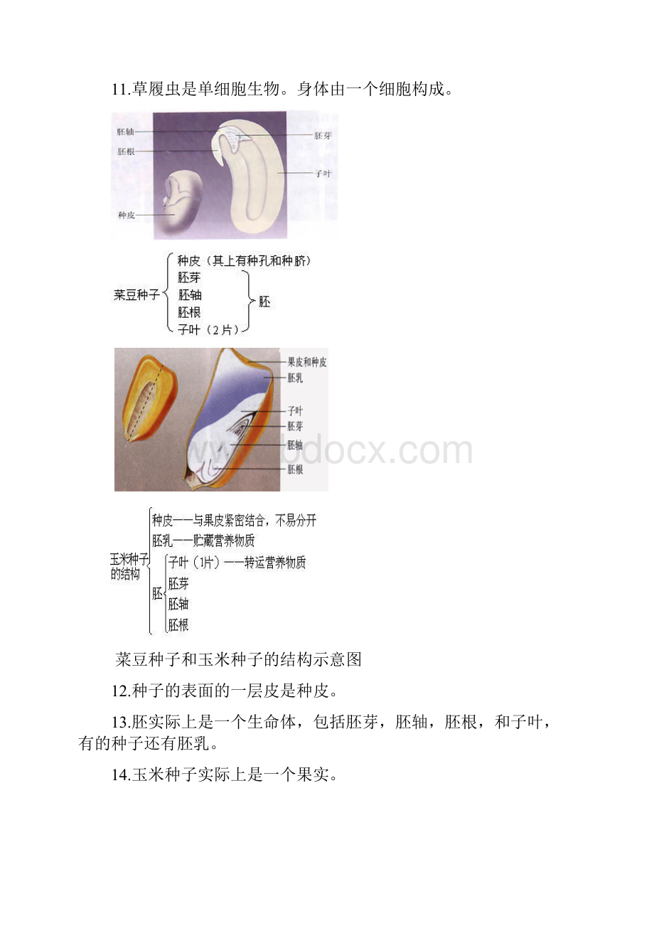 生地会考复习资料初中生物图集附题目资料.docx_第3页