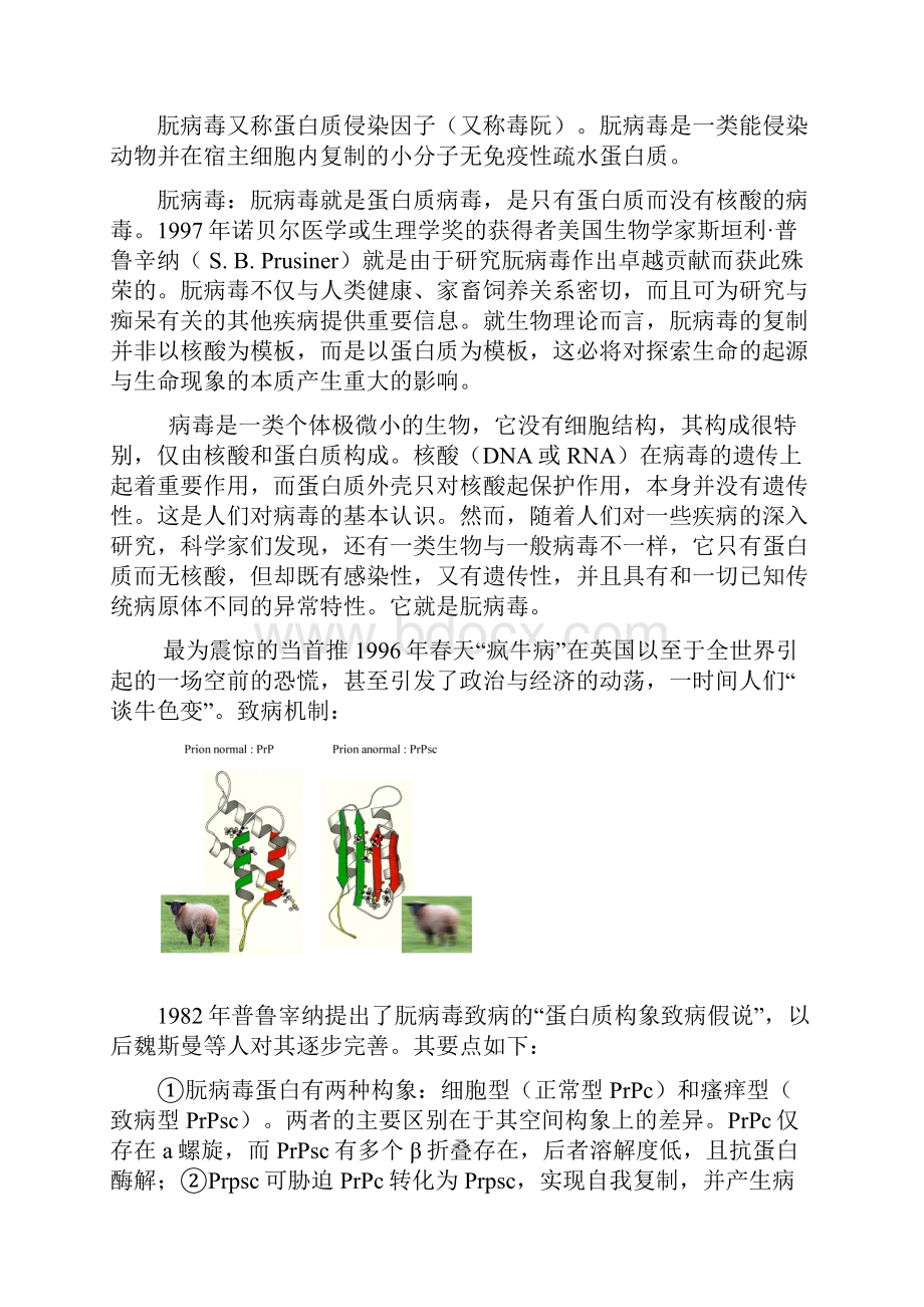 安徽师大 分子生物学Chapter 2 讲义.docx_第3页