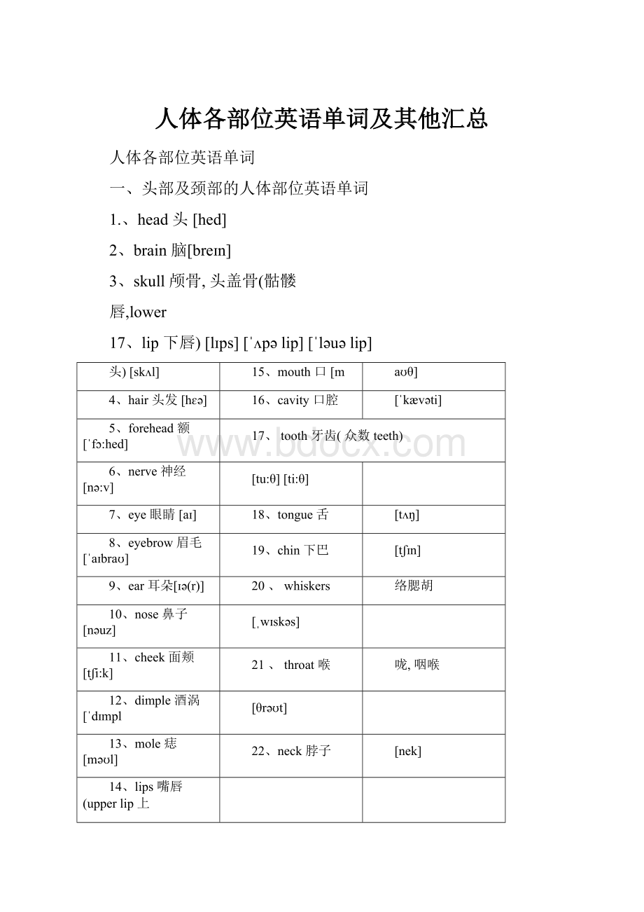 人体各部位英语单词及其他汇总.docx_第1页