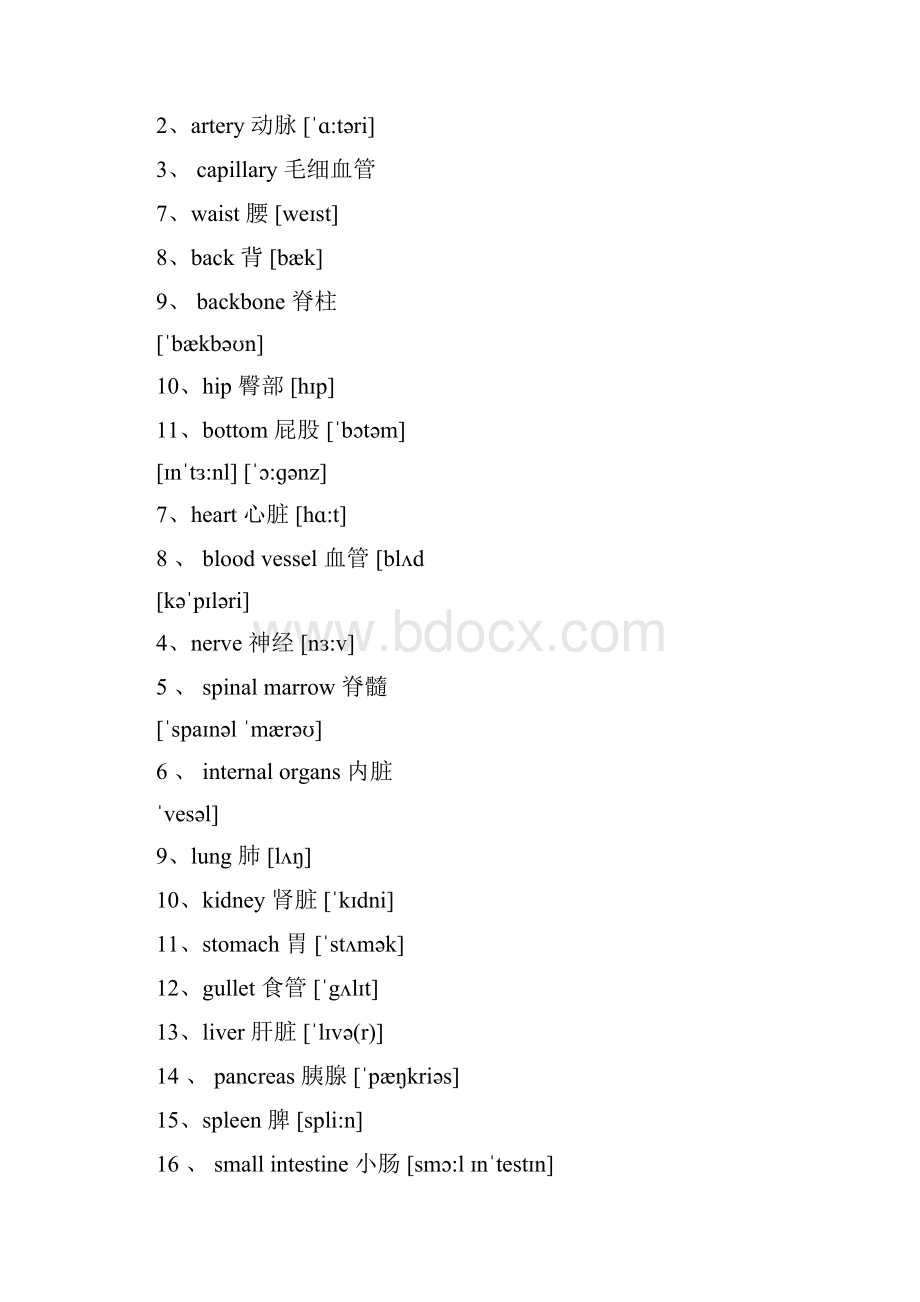 人体各部位英语单词及其他汇总.docx_第3页