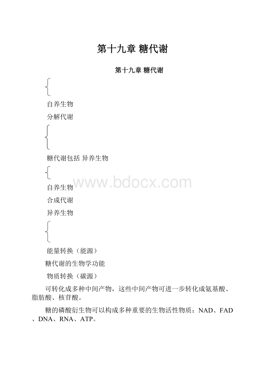 第十九章糖代谢.docx_第1页