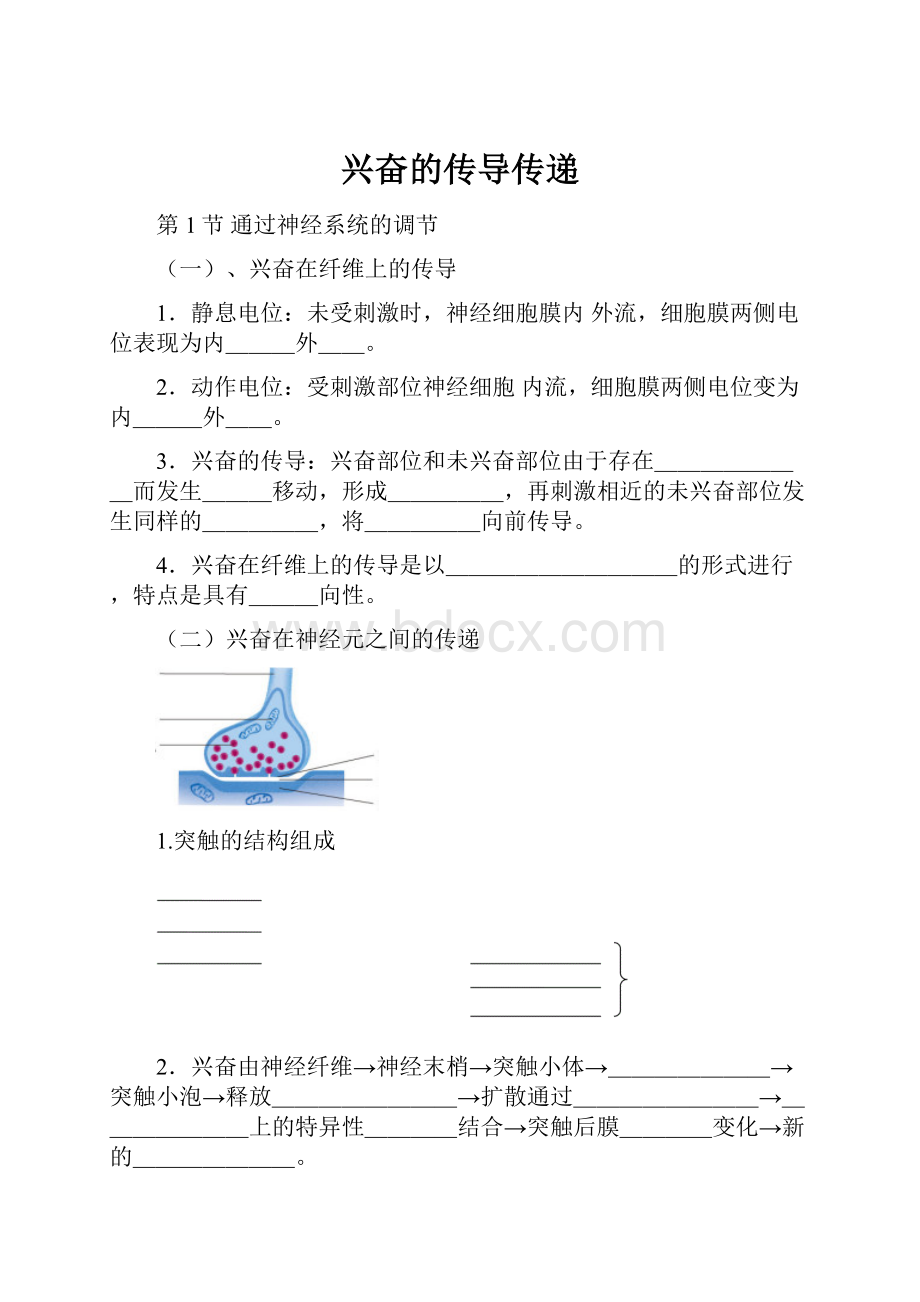 兴奋的传导传递.docx_第1页