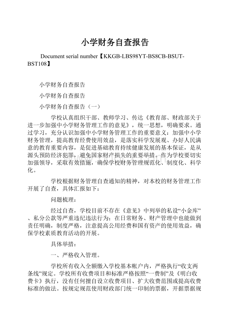 小学财务自查报告.docx