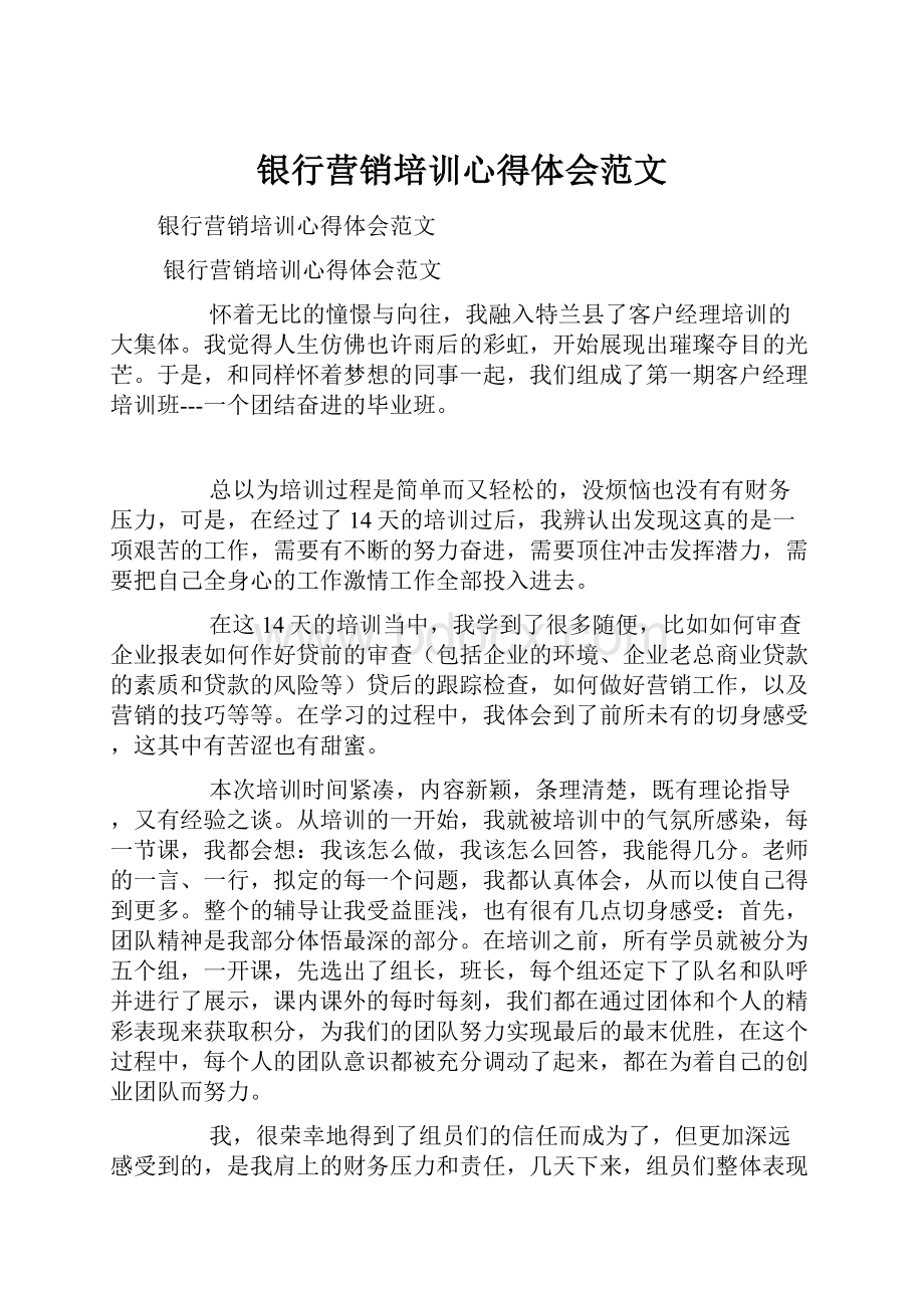 银行营销培训心得体会范文.docx_第1页