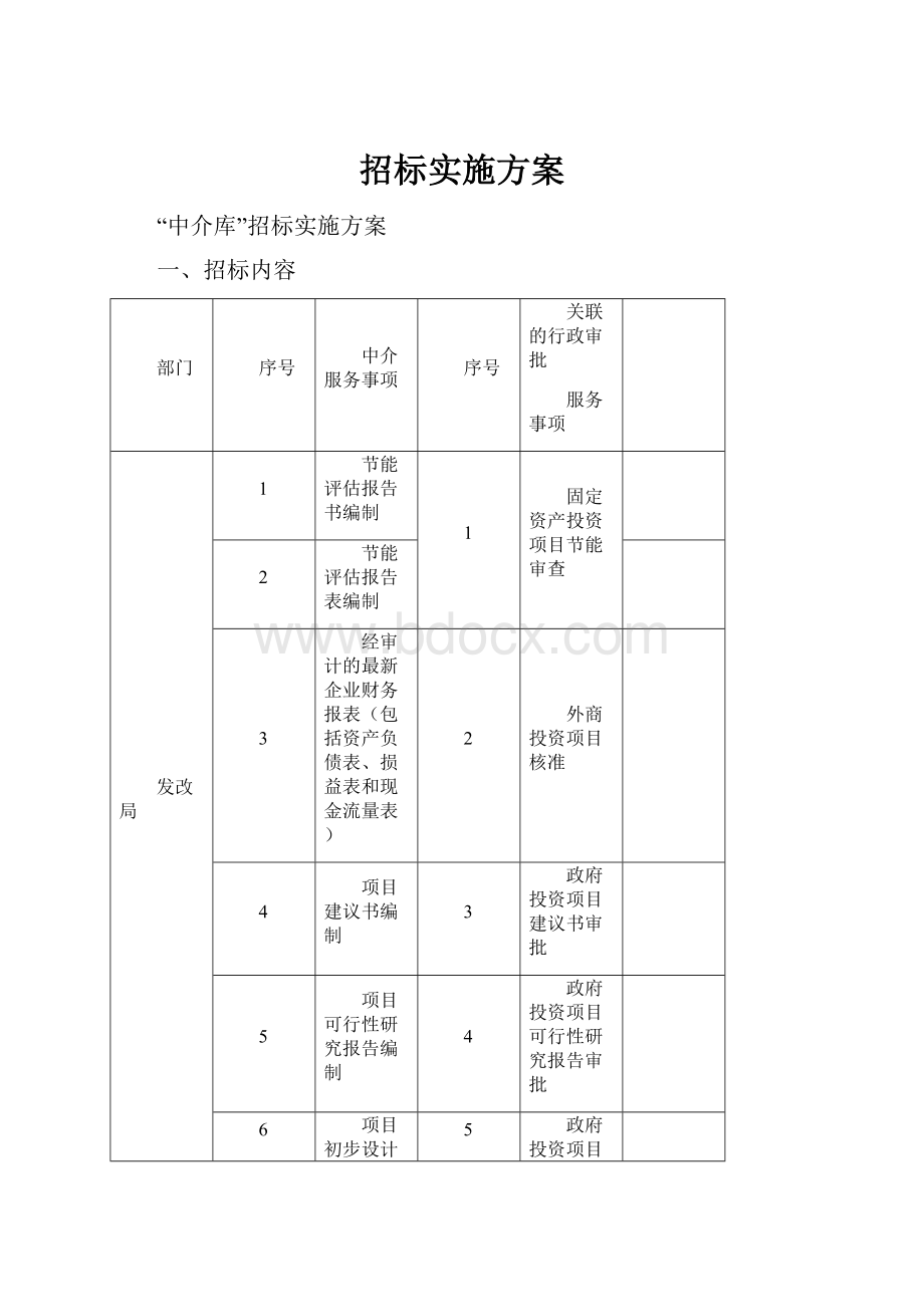 招标实施方案.docx_第1页