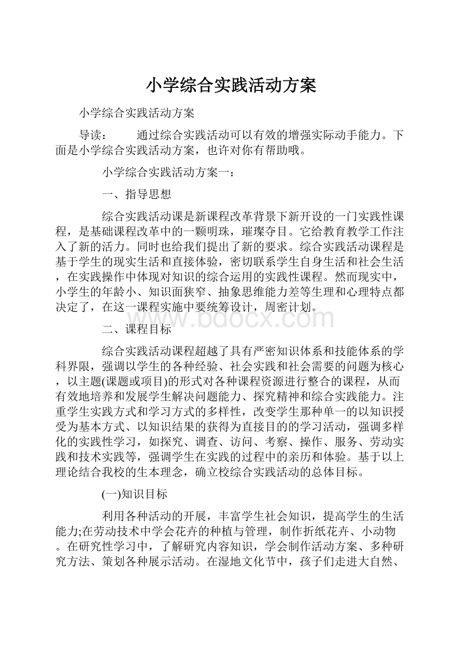 小学综合实践活动方案.docx