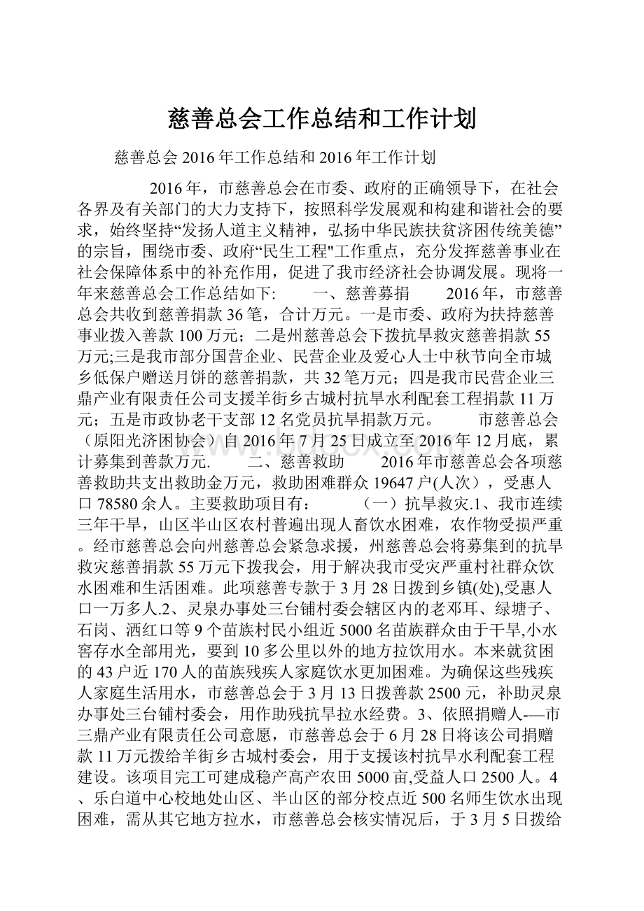 慈善总会工作总结和工作计划.docx