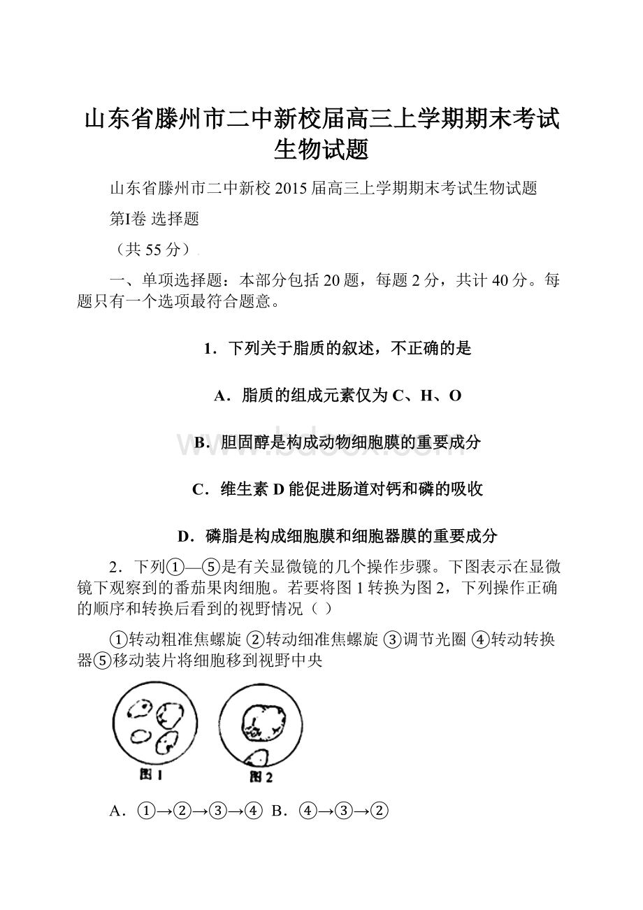 山东省滕州市二中新校届高三上学期期末考试生物试题.docx