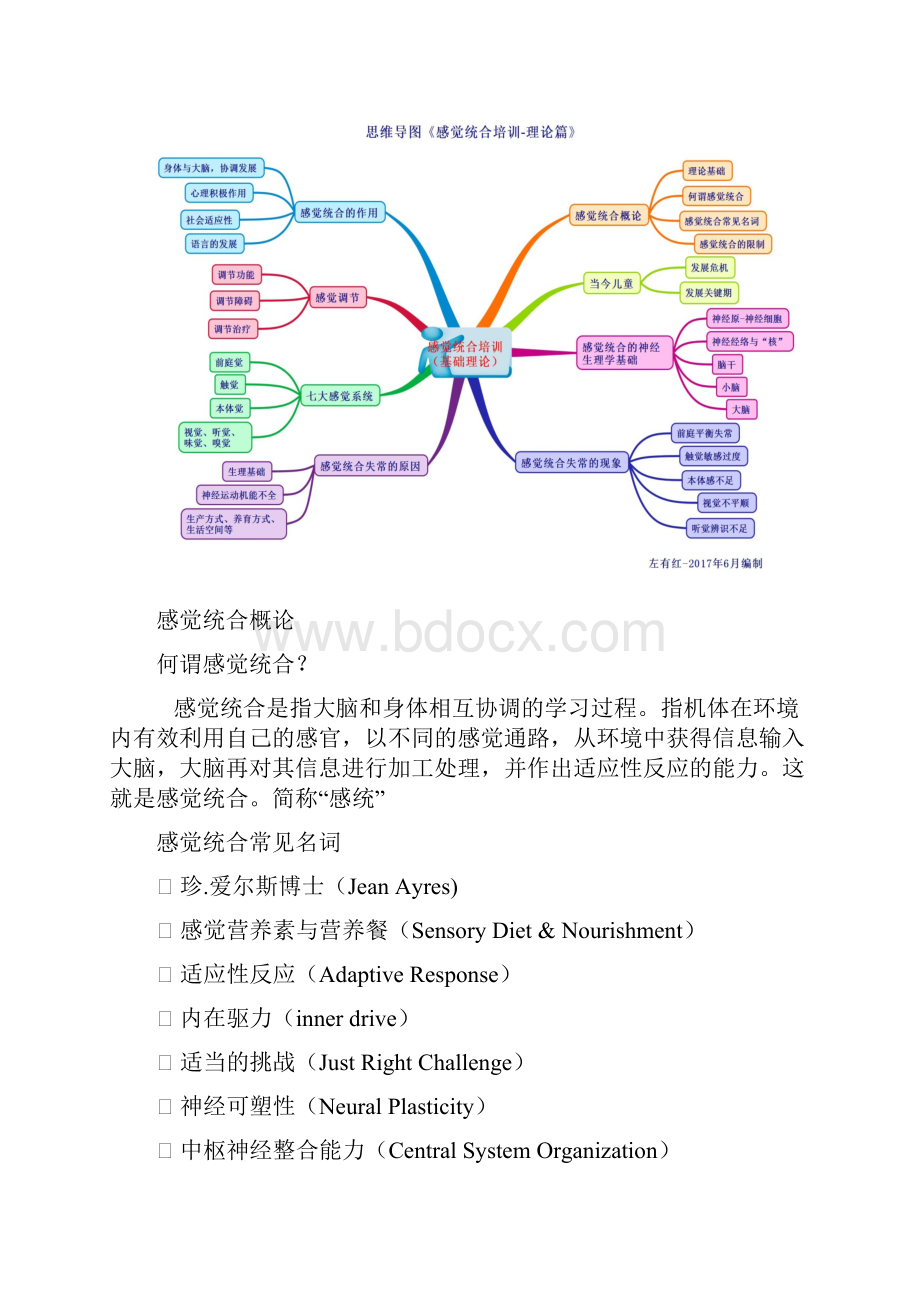 感觉统合高级教师培训讲义第四届资料doc.docx_第2页