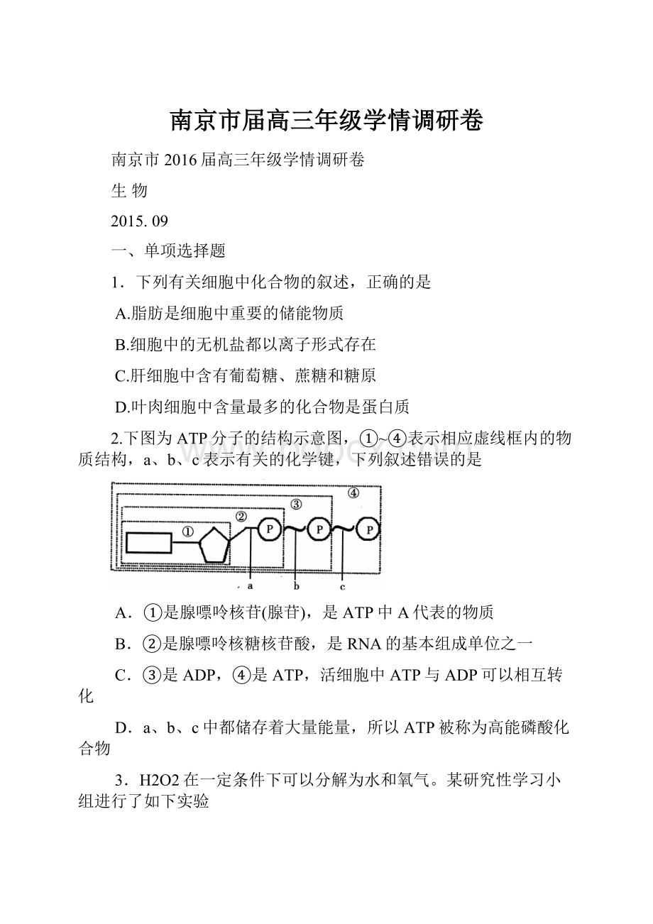 南京市届高三年级学情调研卷.docx