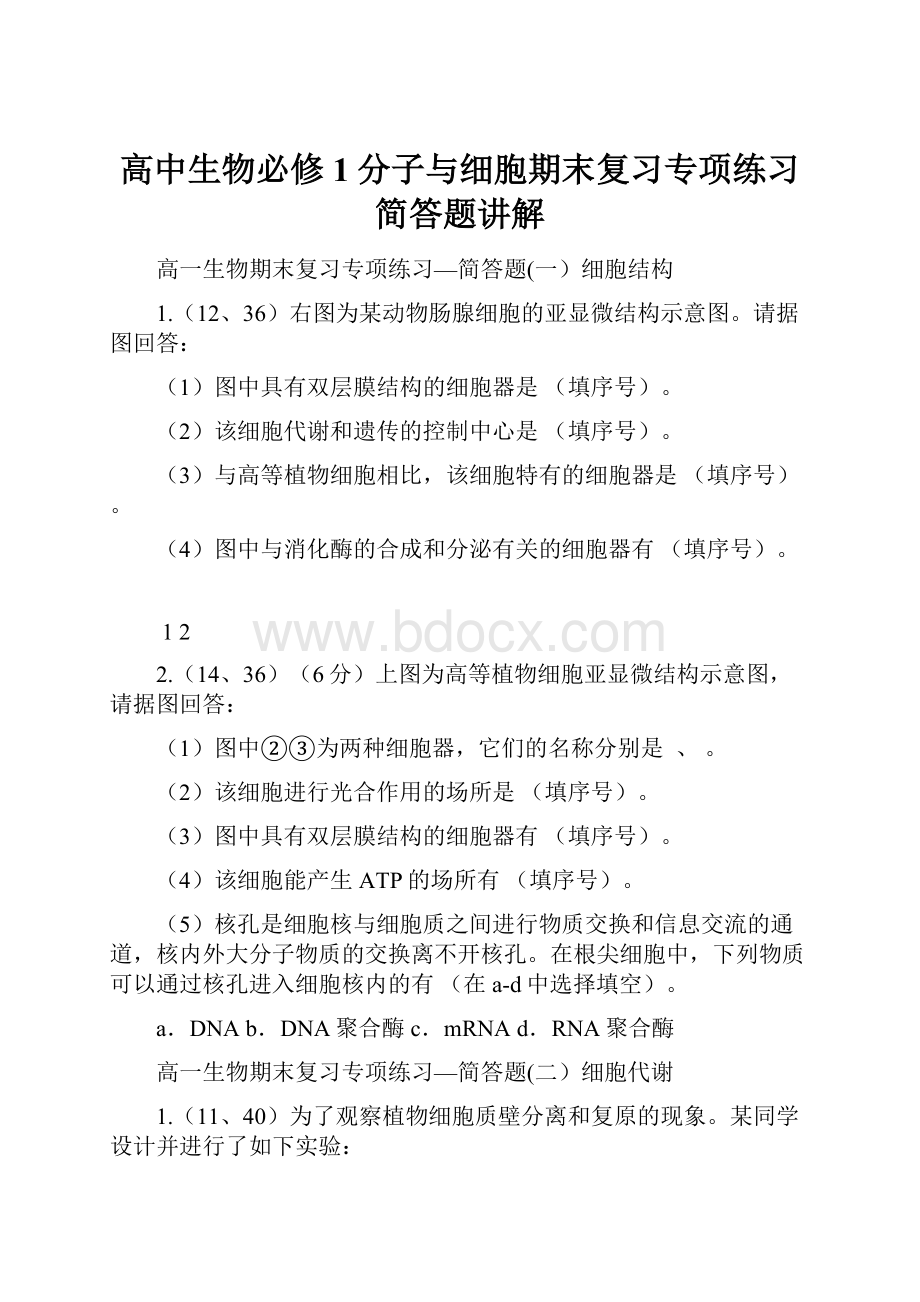 高中生物必修1分子与细胞期末复习专项练习简答题讲解.docx