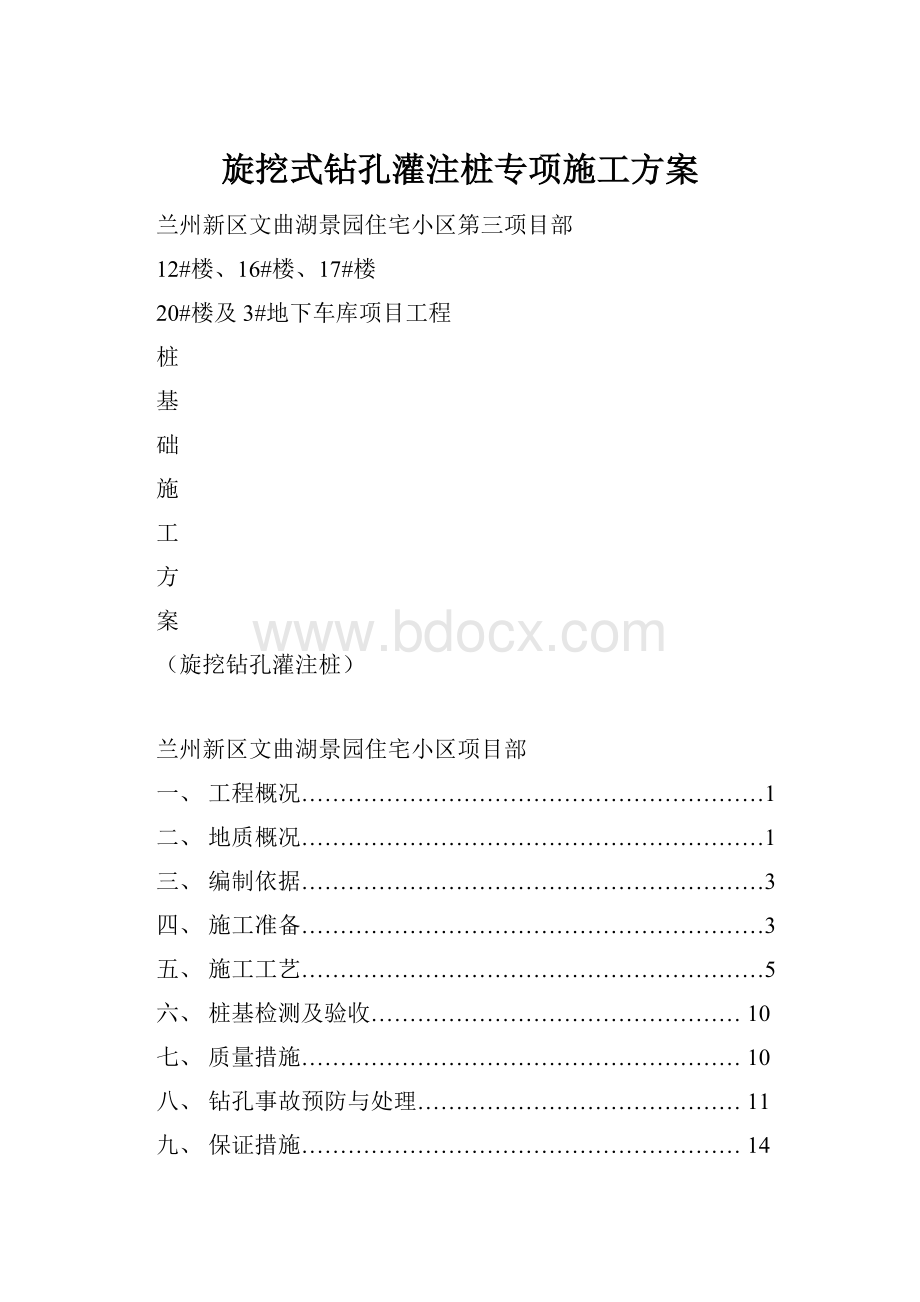 旋挖式钻孔灌注桩专项施工方案.docx_第1页