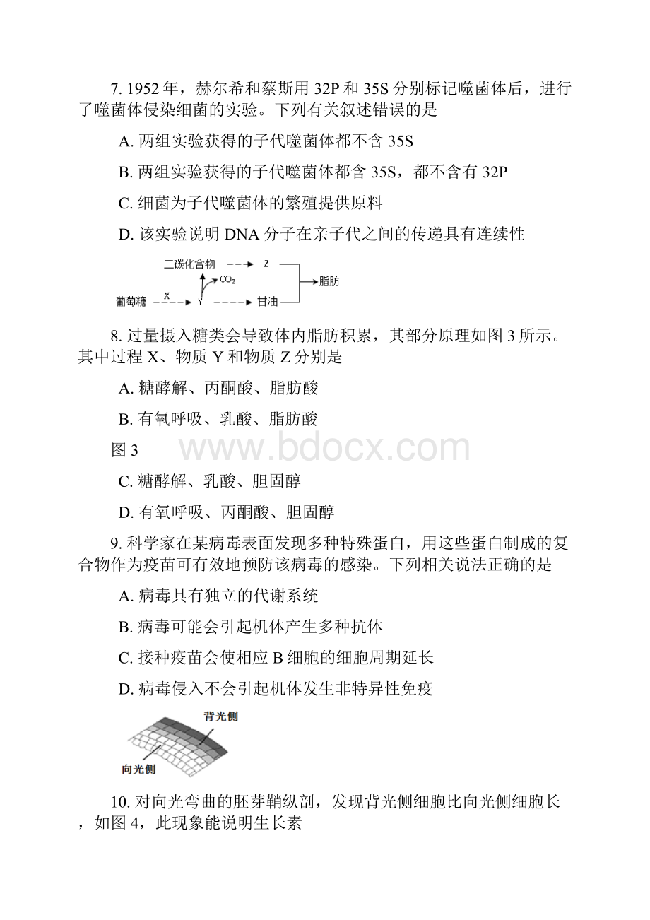 生物二模松江有答案.docx_第3页