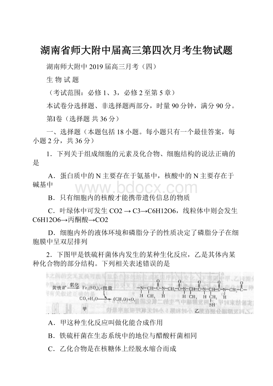 湖南省师大附中届高三第四次月考生物试题.docx_第1页