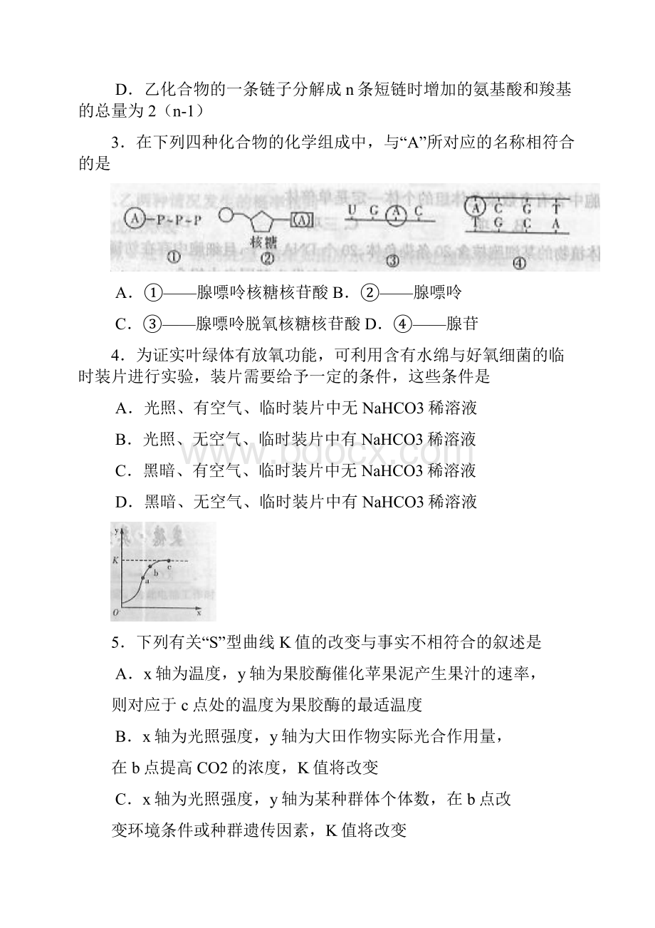 湖南省师大附中届高三第四次月考生物试题.docx_第2页