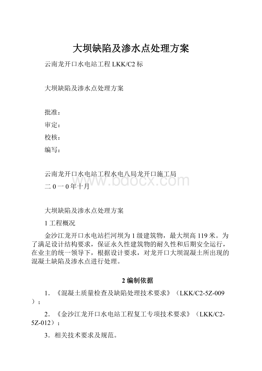 大坝缺陷及渗水点处理方案.docx