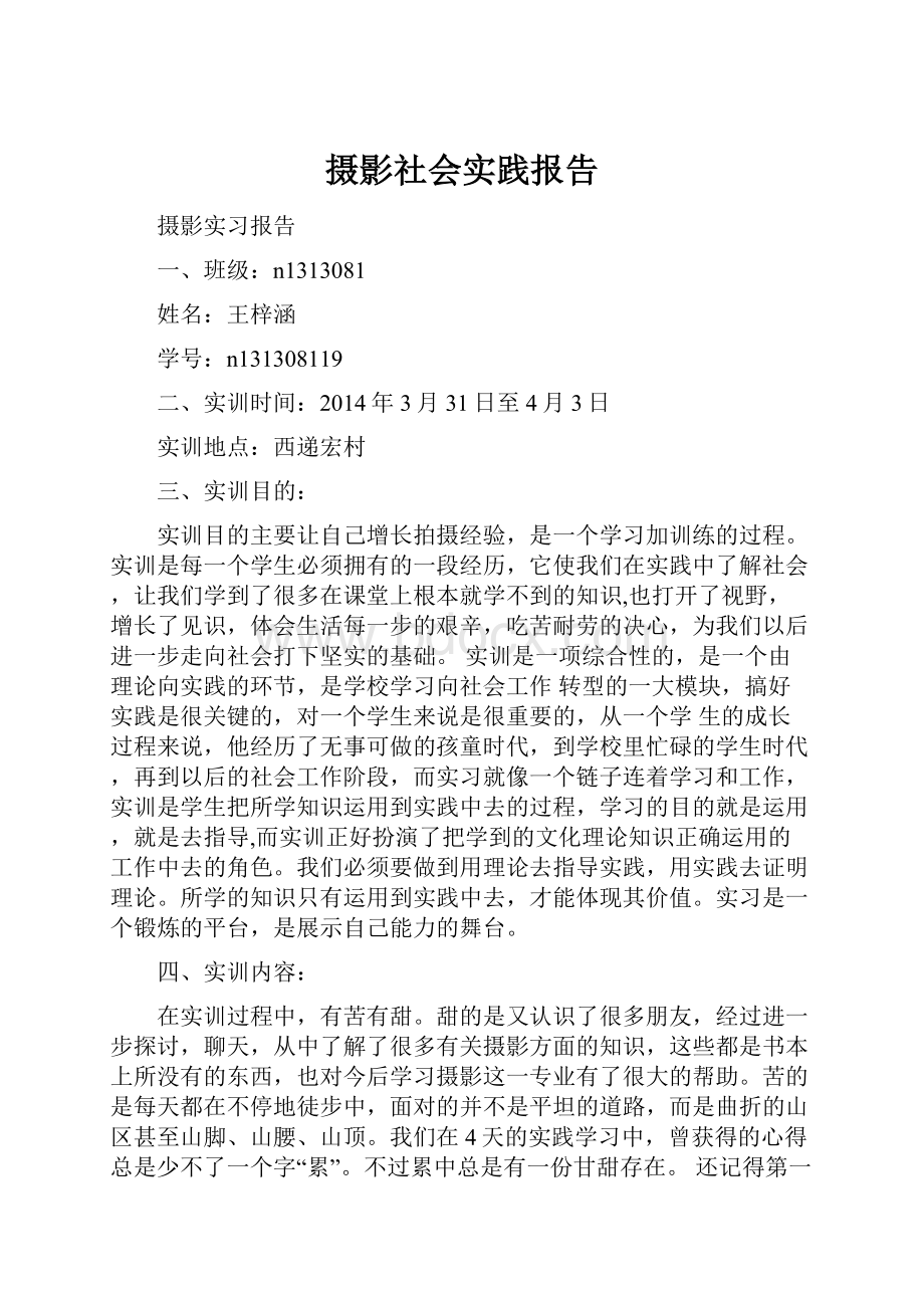 摄影社会实践报告.docx