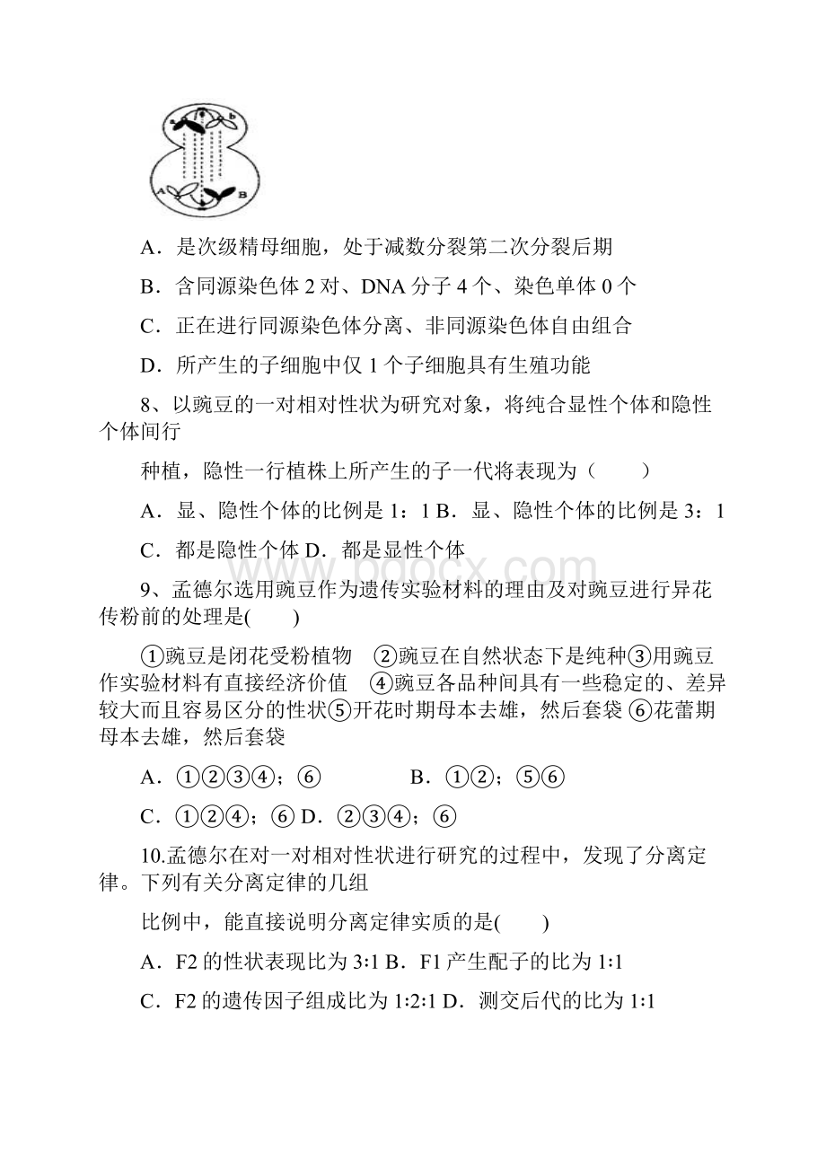 河北省冀州中学学年高一下学期期末考试生物.docx_第3页