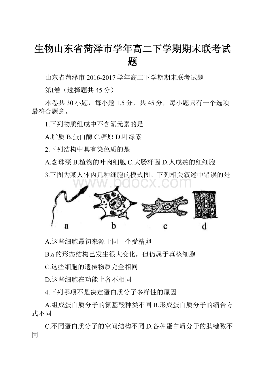 生物山东省菏泽市学年高二下学期期末联考试题.docx