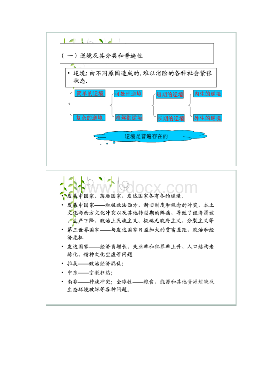 逆境中的政策制定大纲ppt.docx_第3页