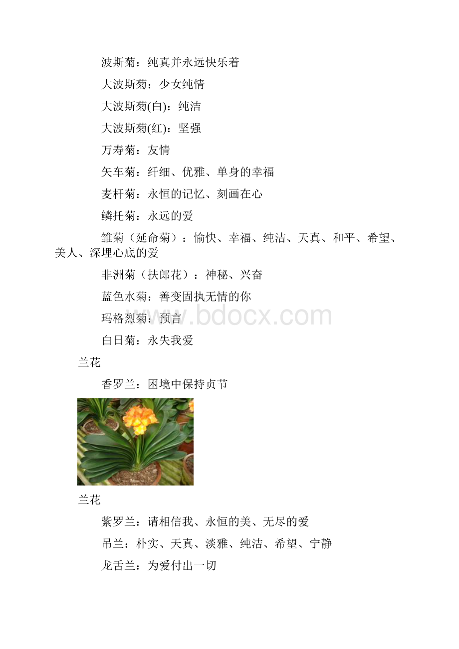 花语大全.docx_第2页