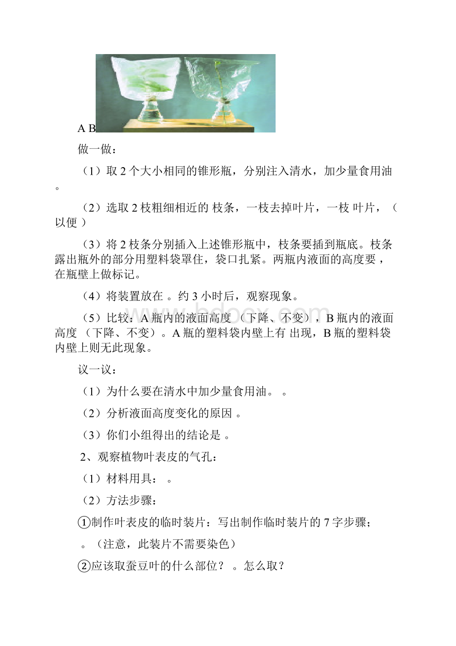 17生态系统的稳定.docx_第2页