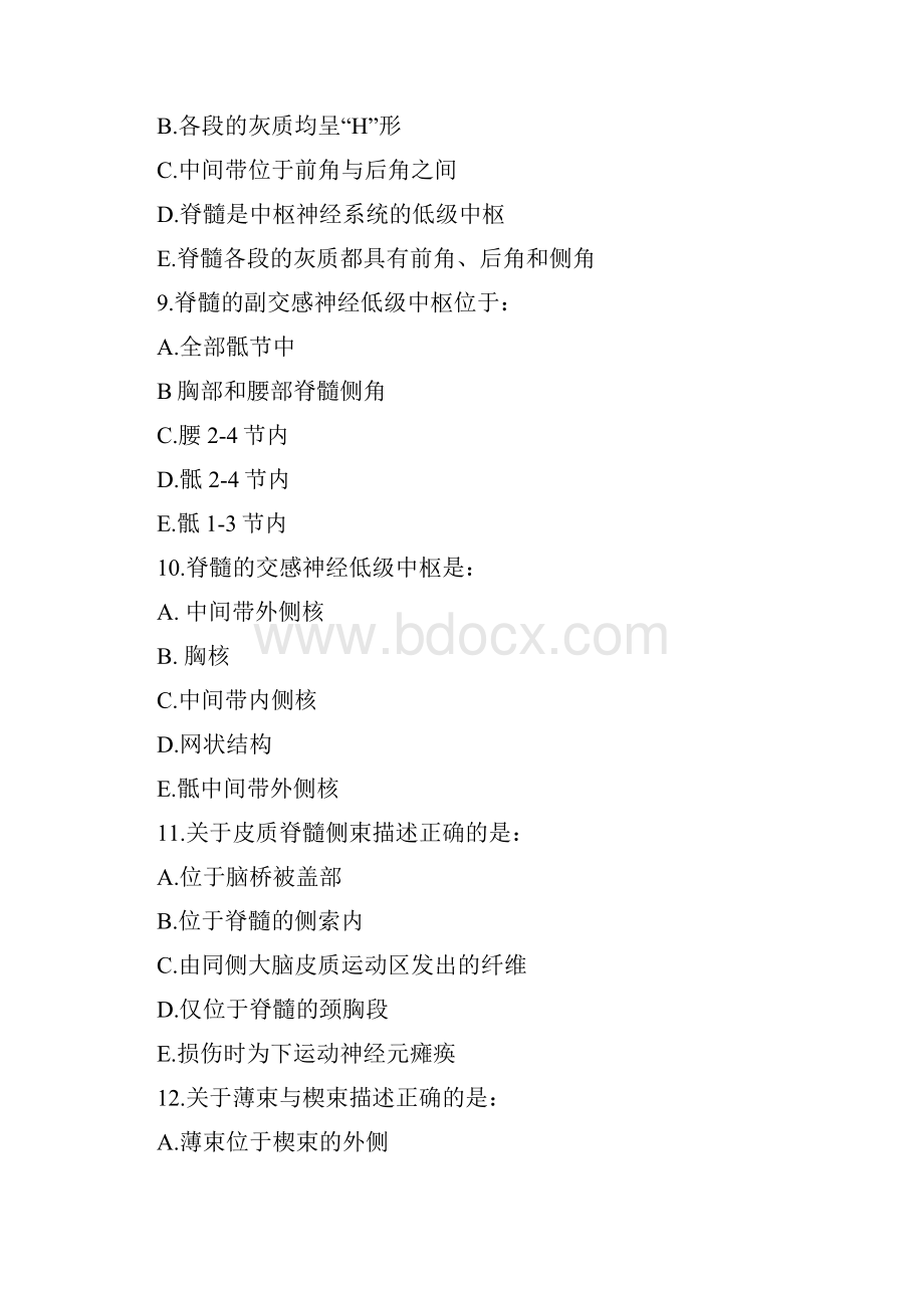 中枢神经系统.docx_第3页