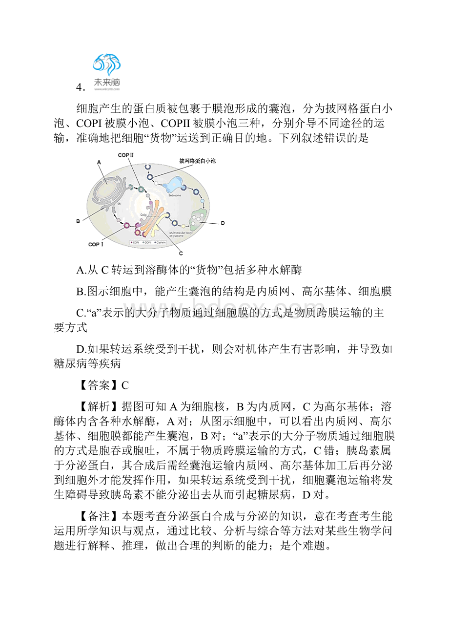 届湖北省襄阳市曾都一中枣阳一中襄州一中宜城一中四校高三上学期期中联考生物试题解析版.docx_第3页