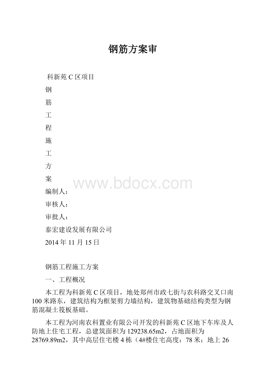 钢筋方案审.docx