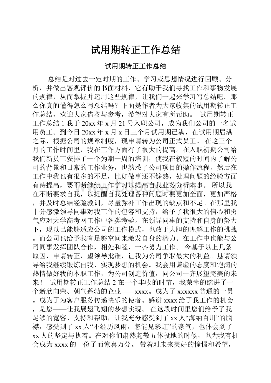 试用期转正工作总结.docx