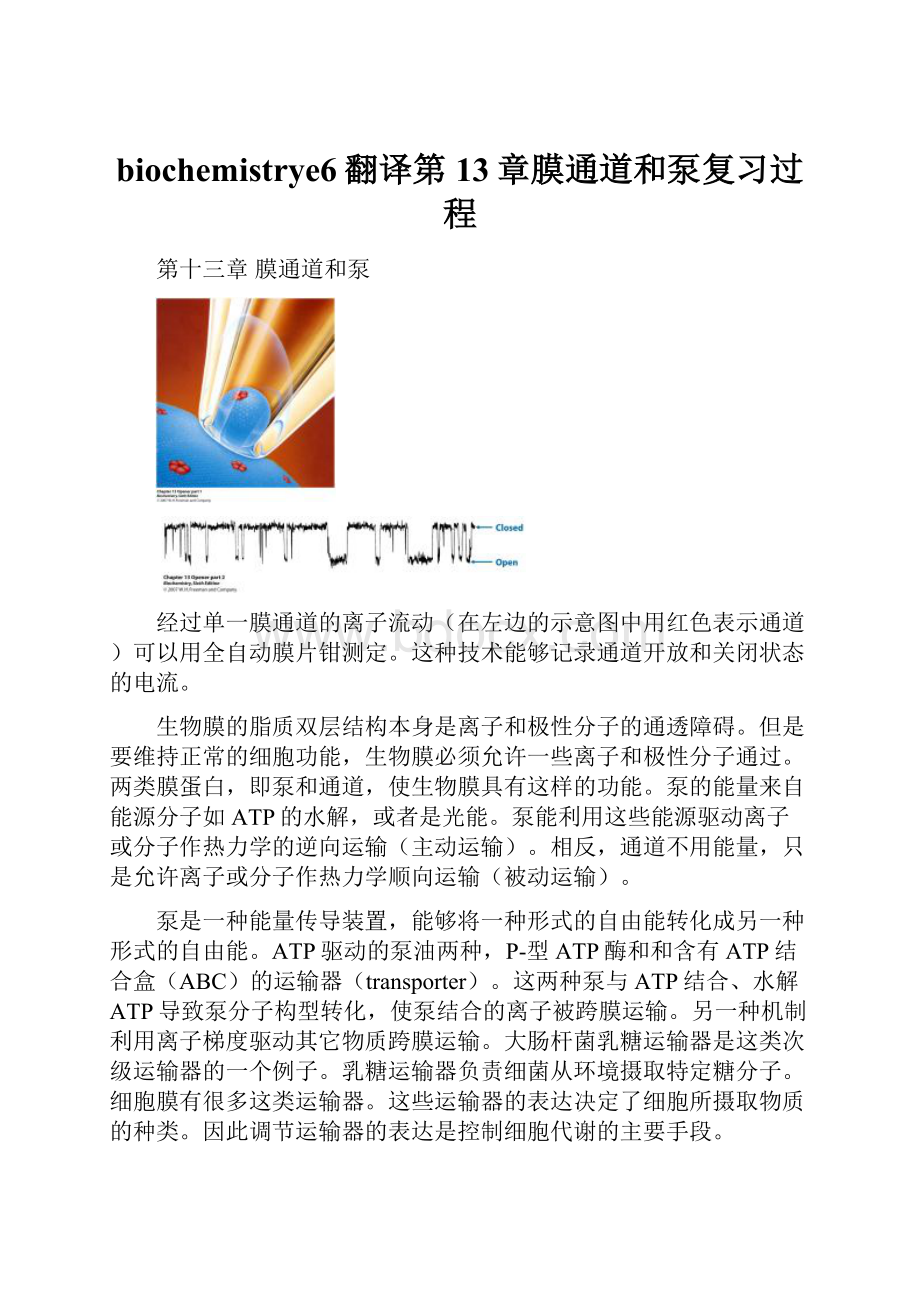 biochemistrye6翻译第13章膜通道和泵复习过程.docx