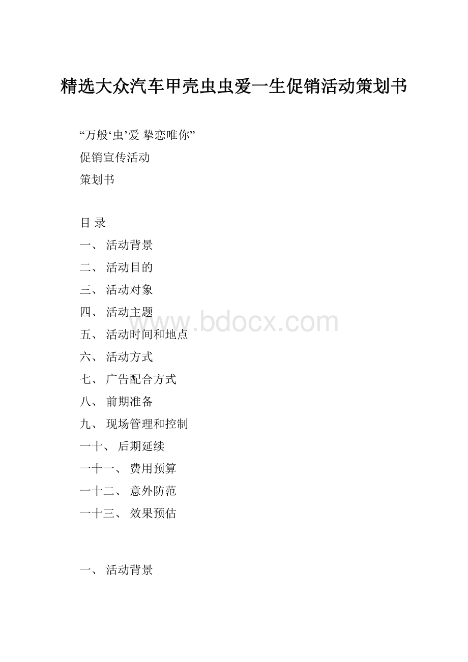 精选大众汽车甲壳虫虫爱一生促销活动策划书.docx