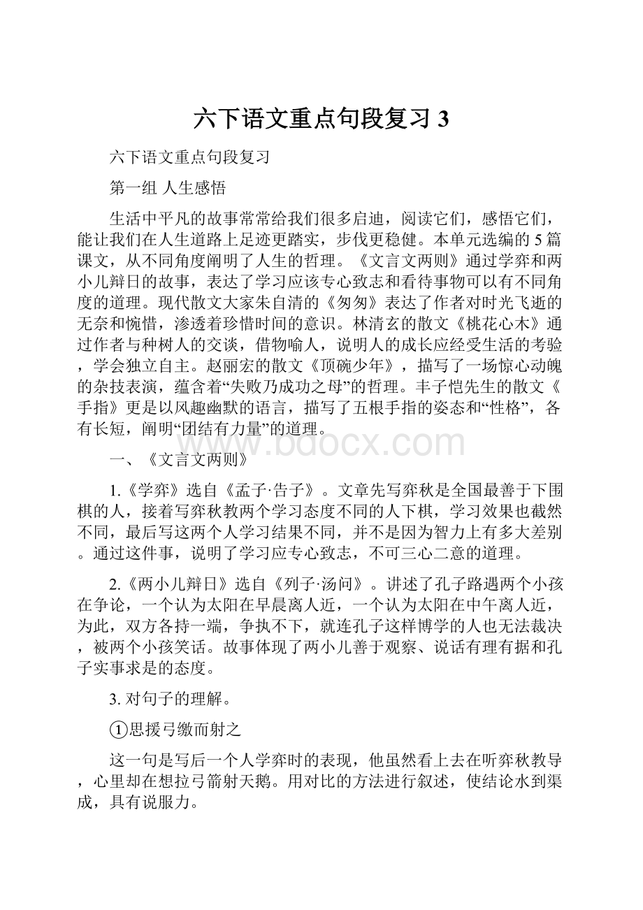 六下语文重点句段复习 3.docx