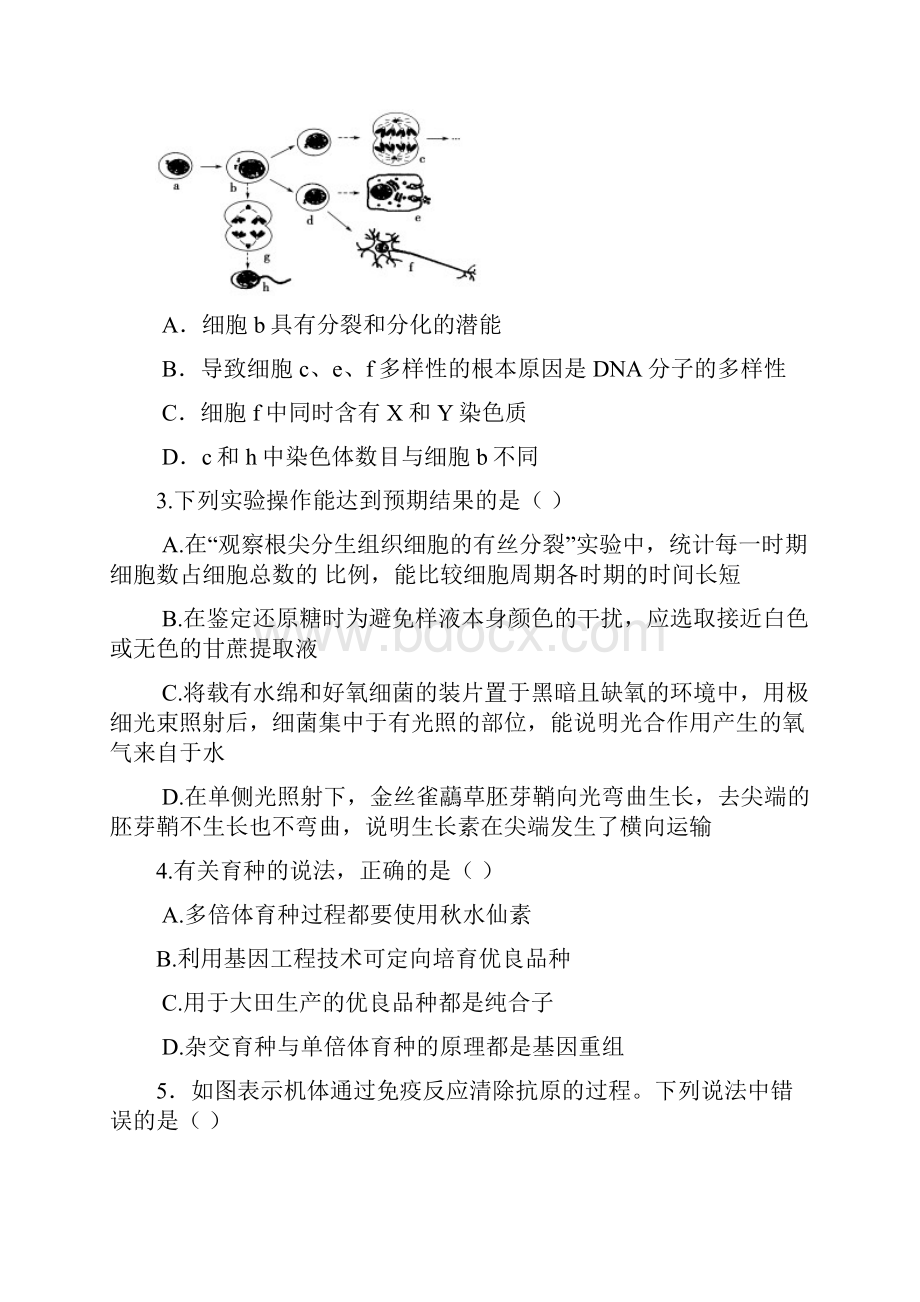 河北省邯郸一中学年高三模拟考试理科综合试题 Word版含答案.docx_第2页