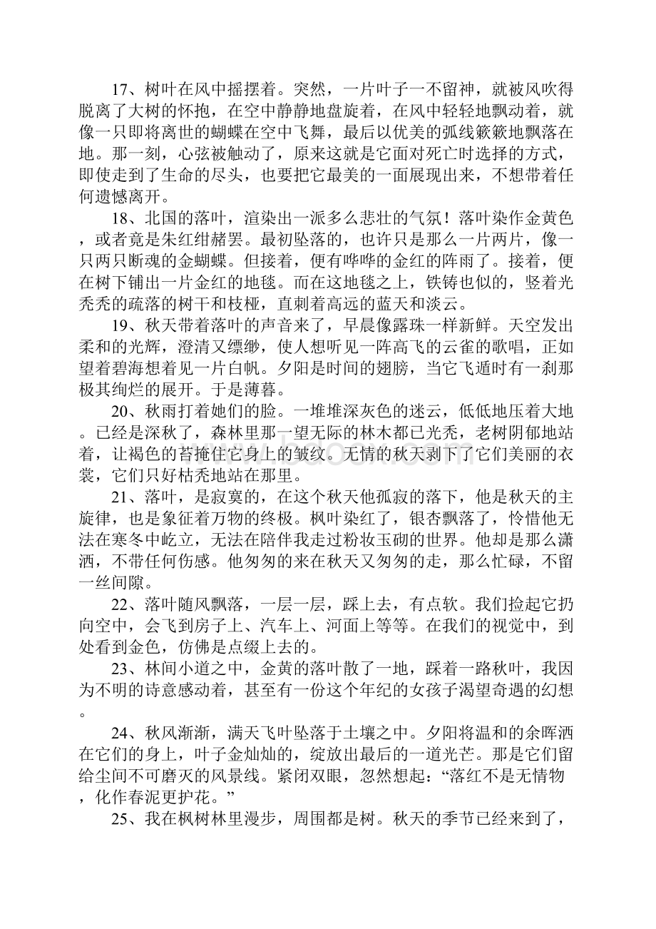 关于落叶的唯美句子.docx_第3页