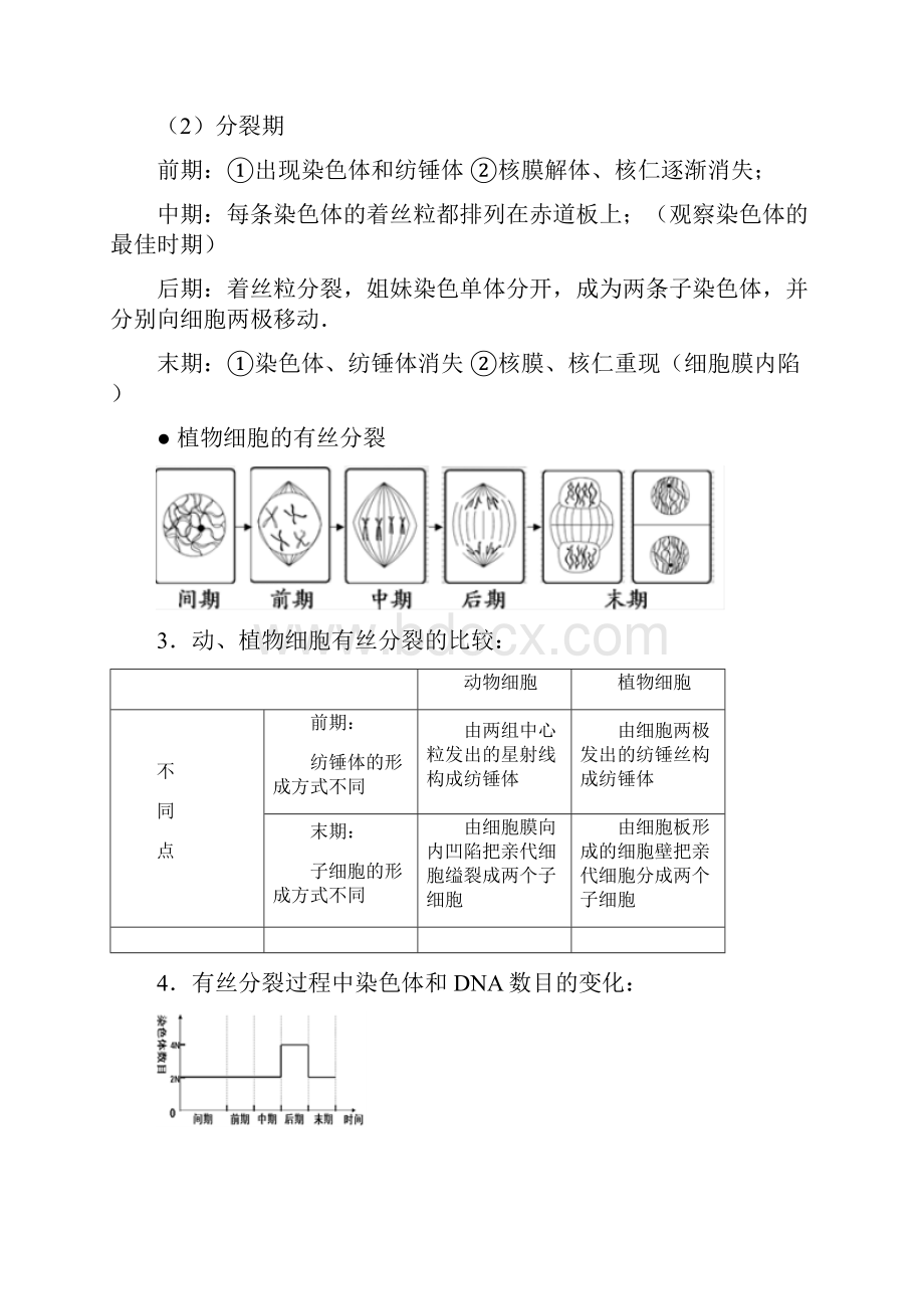 有丝分裂和减数分裂知识点和习题练习.docx_第2页